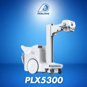 Radio Mobile Perlove plx5300