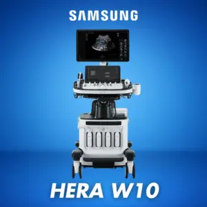 samsung hera w10